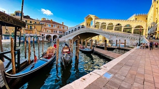 people riding on boat on river near bridge during daytime