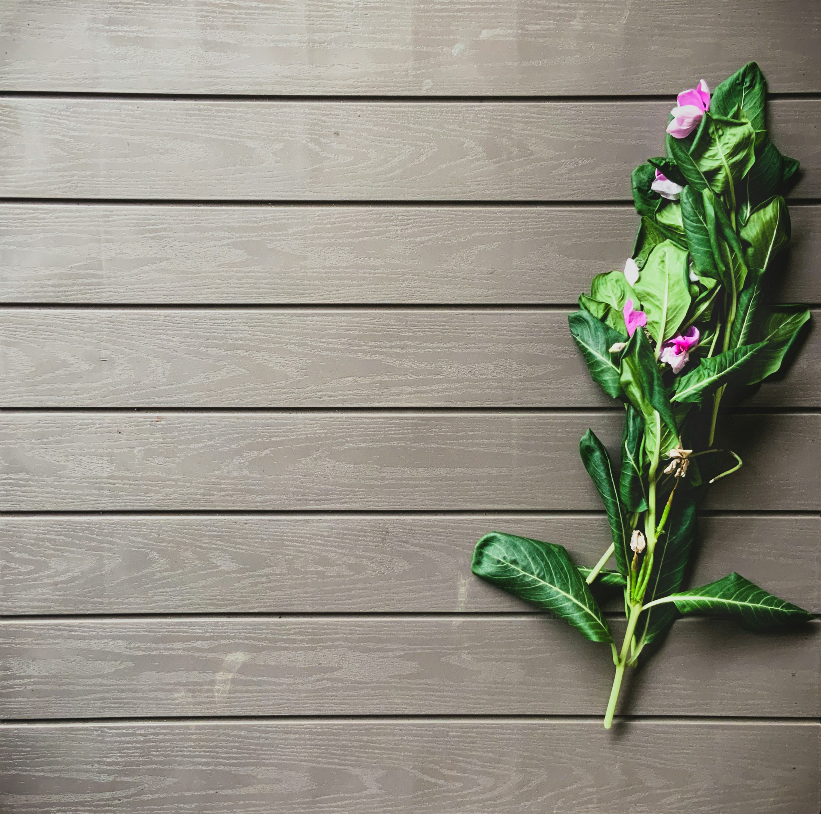 Photo by arham_jain48