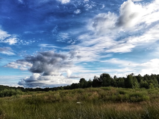 green grass field under blue sky and white clouds during daytime in Växjö Sweden