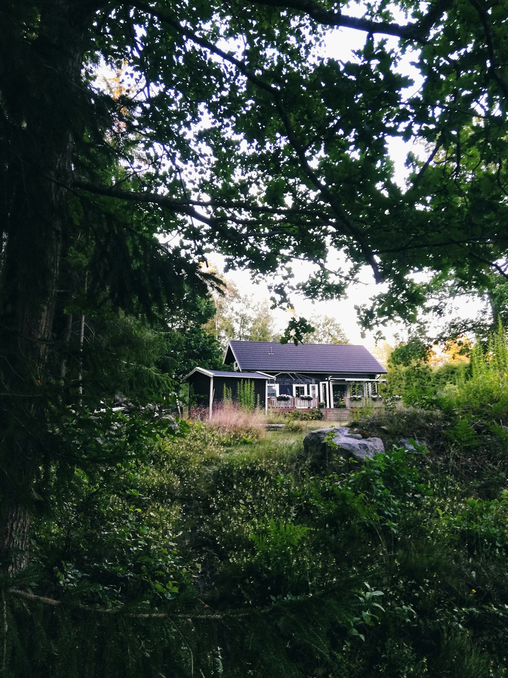 casa de madeira marrom cercada por árvores verdes durante o dia