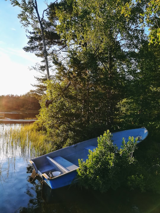 blue and white boat on lake during daytime in Barnsjön Sweden