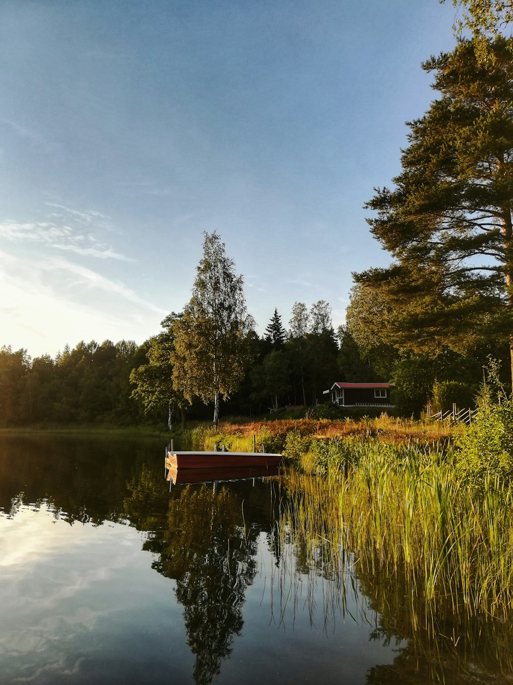 Braunes Holzdock am See, umgeben von grünen Bäumen unter blauem Himmel während des Tages