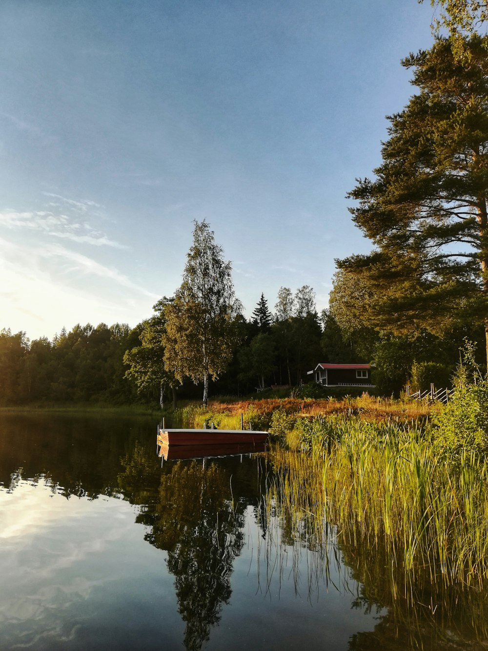 brown wooden dock on lake surrounded by green trees under blue sky during daytime