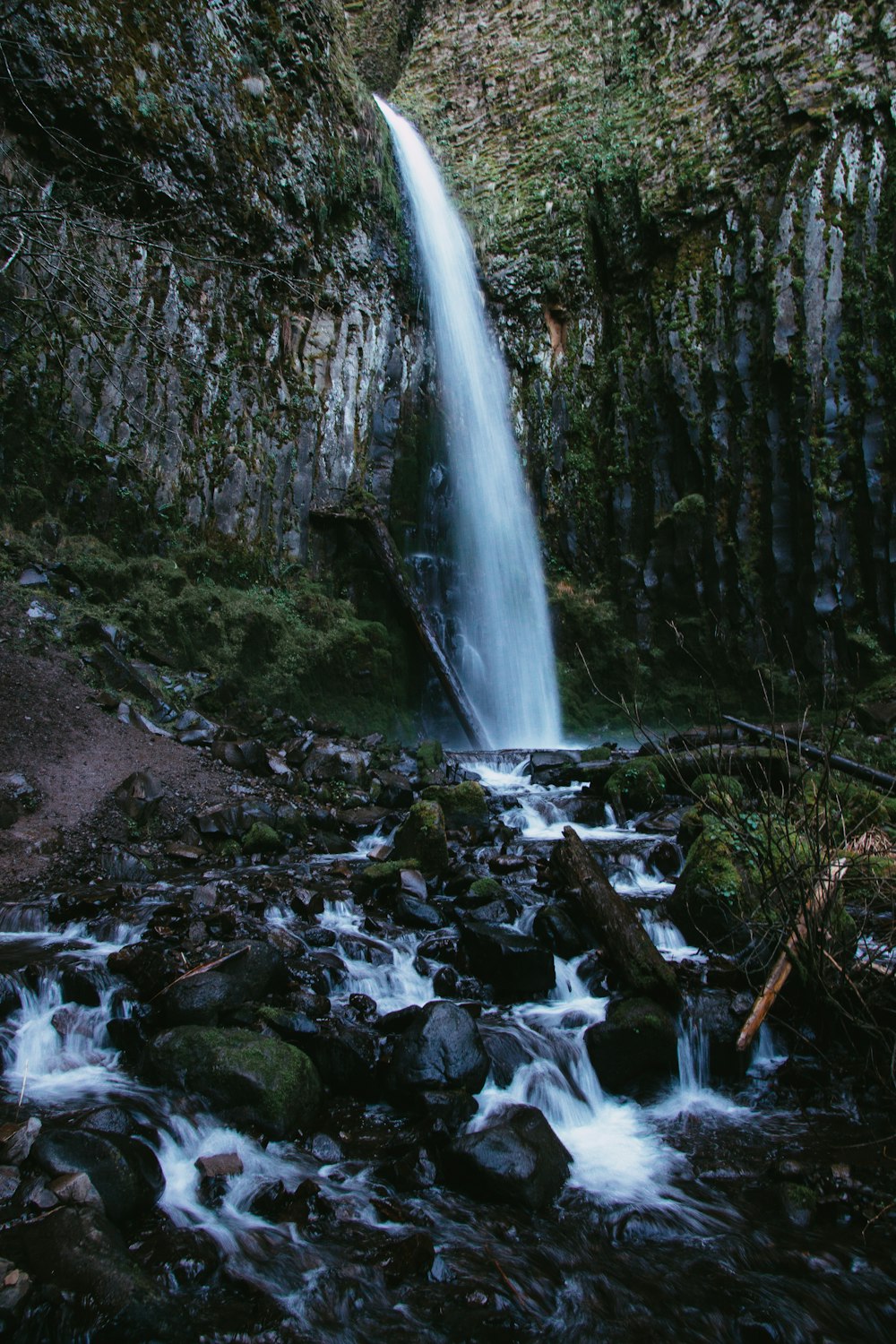 water falls in the middle of the forest