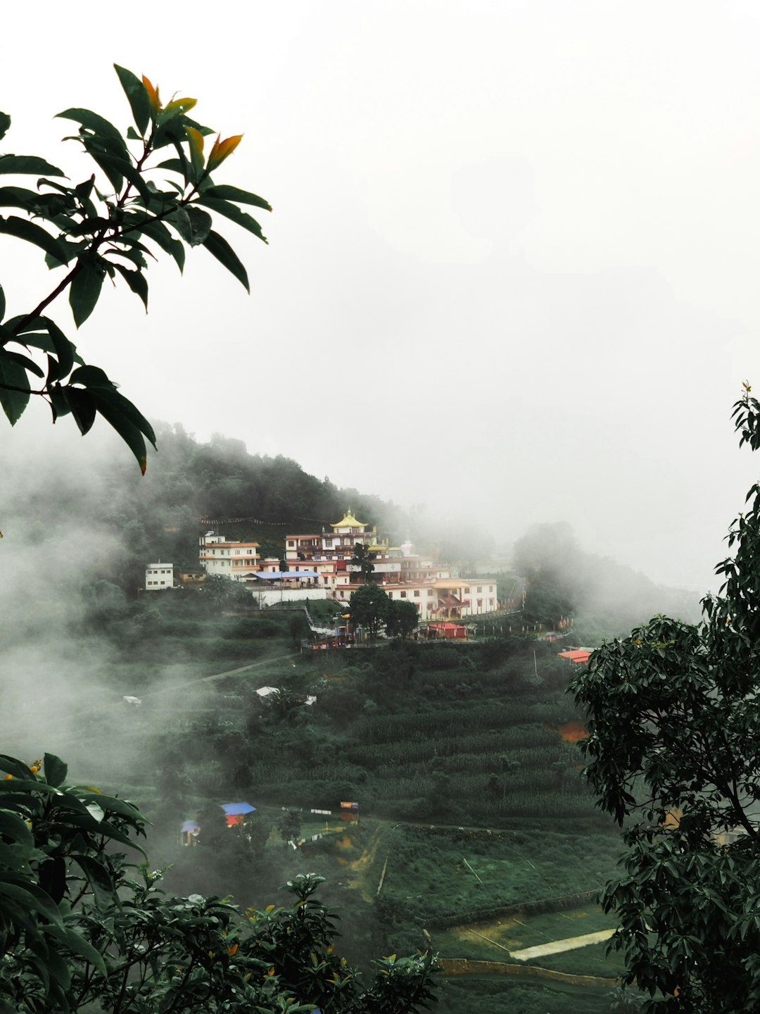 Hill station photo spot Nagarjun Langtang