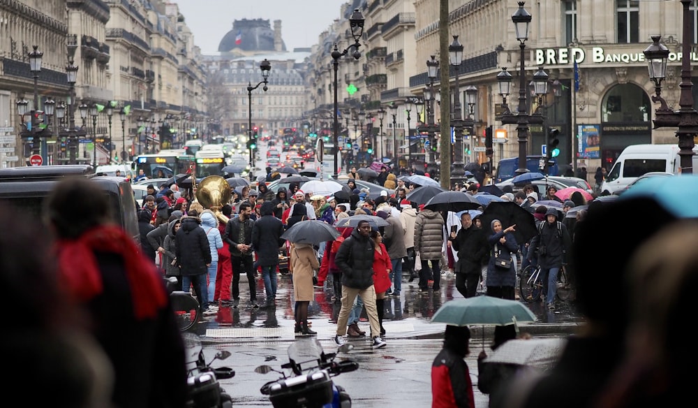 people walking on street with umbrella during daytime