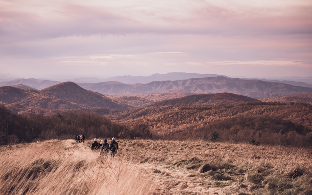 Montagnes brunes et vertes sous des nuages blancs pendant la journée