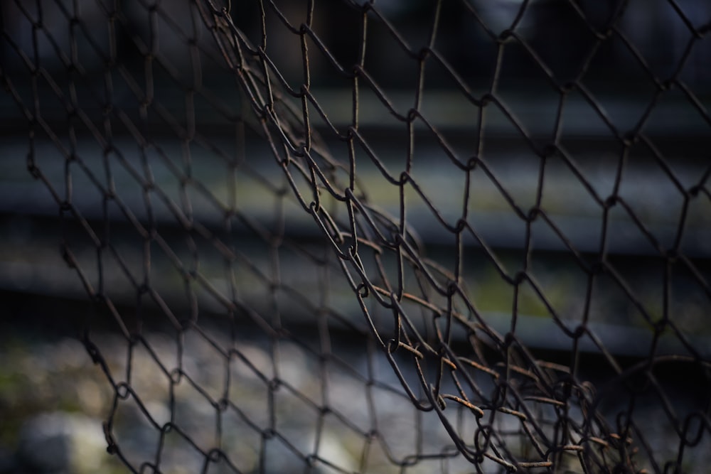 grey metal chain link fence