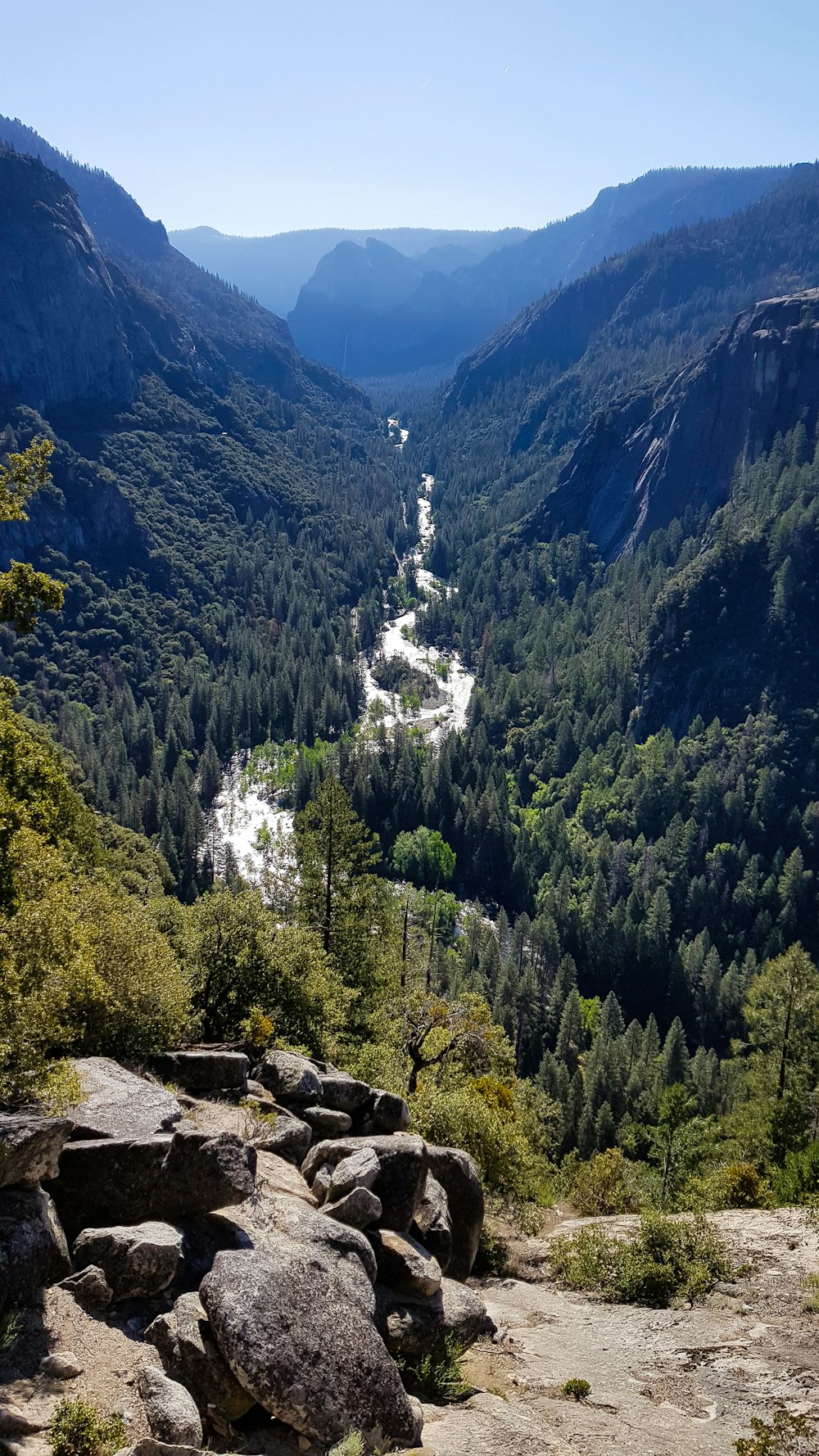 green trees on mountain during daytime