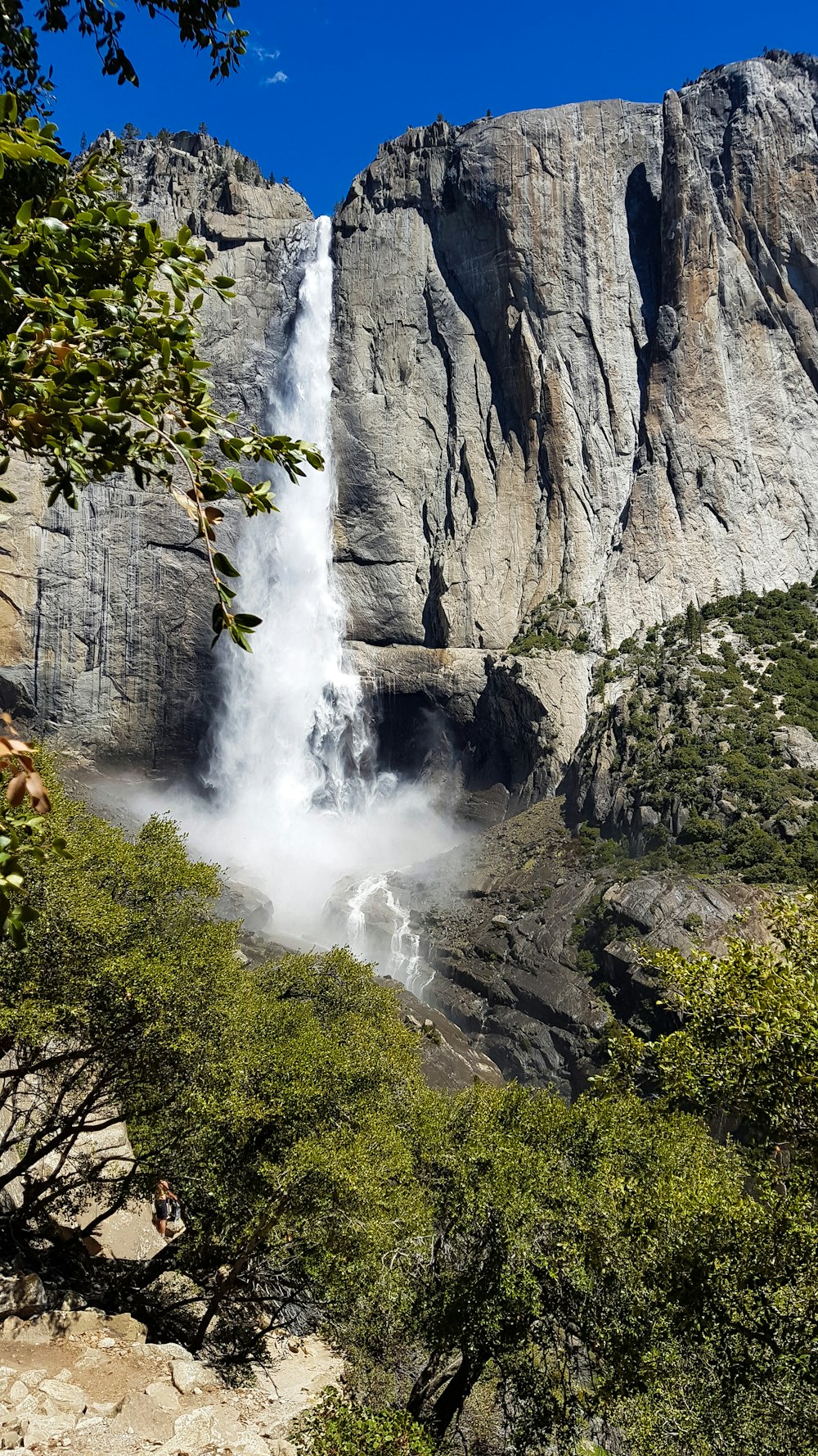 waterfalls in the middle of the forest