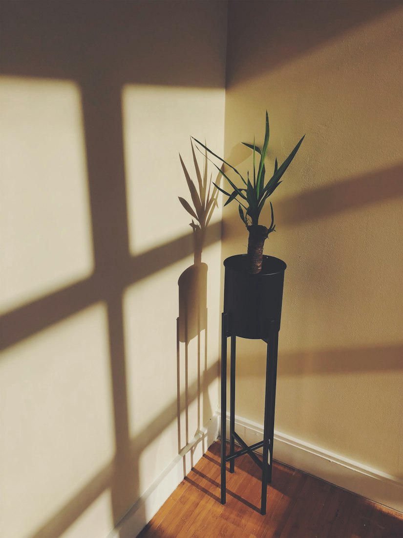 Soporte alto de metal negro con planta junto a una pared