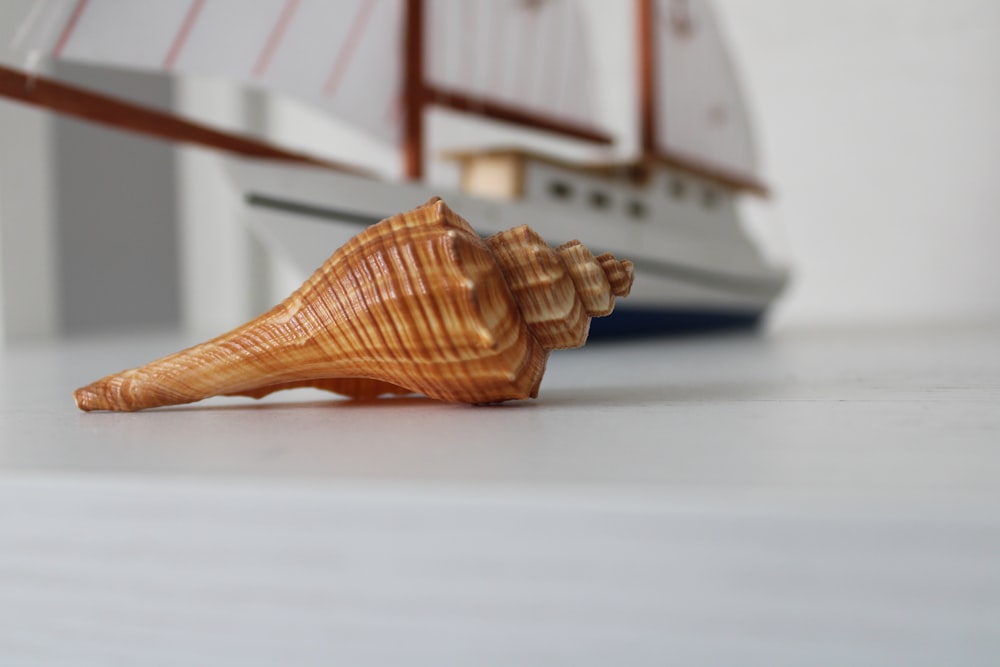 brown seashell on white table