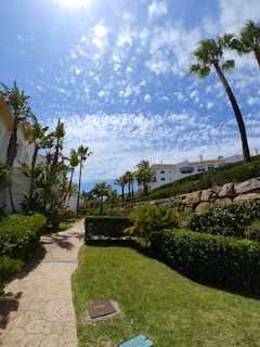 A serene outdoor space with green plants and a sunny sky.