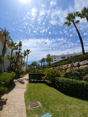 A serene outdoor space with green plants and a sunny sky.