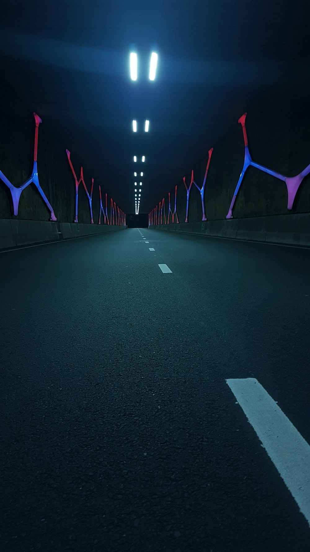 black and white road with purple lights