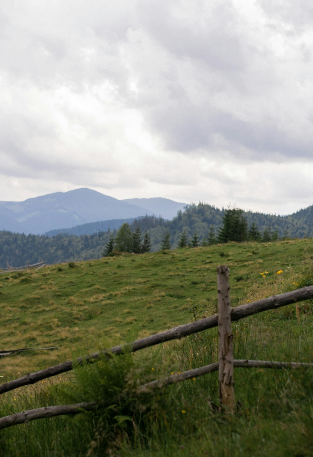 green grass field near green trees and mountains during daytime