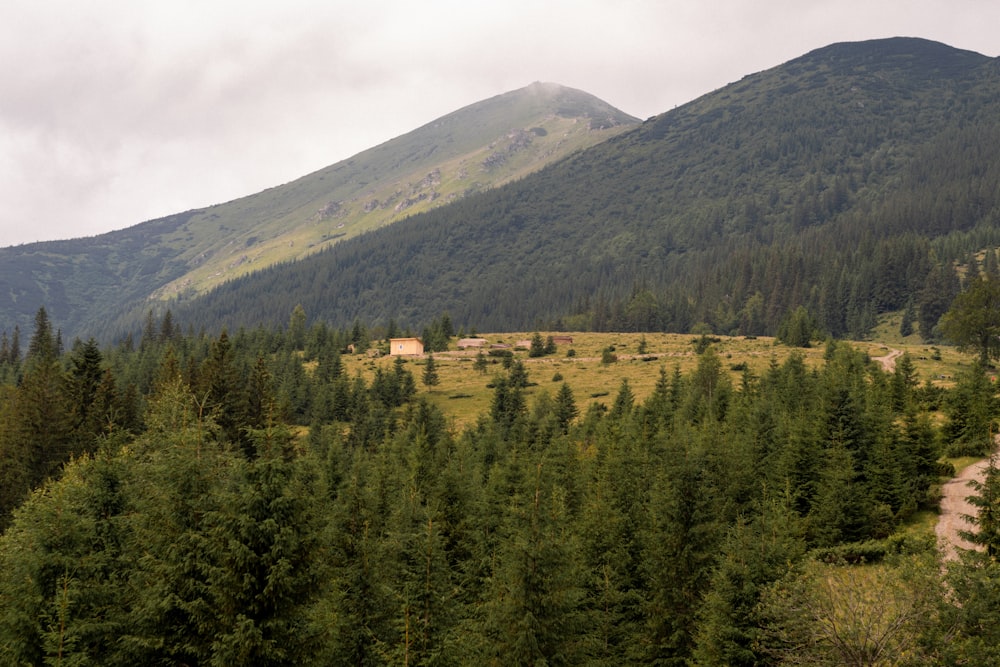 green trees on mountain under white sky during daytime