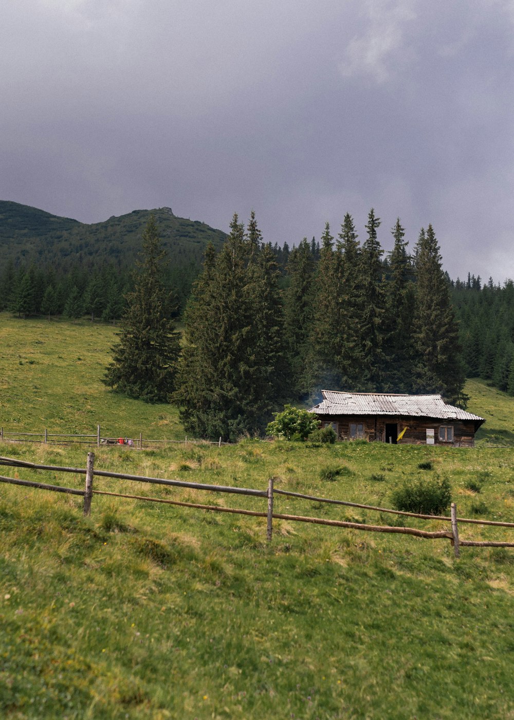 brown wooden house on green grass field near green trees during daytime