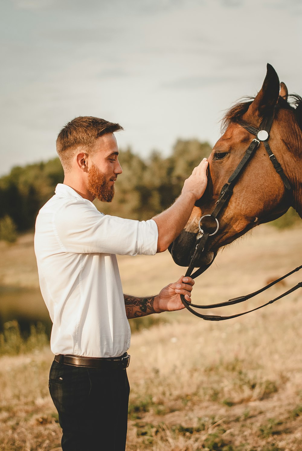 man in white long sleeve shirt holding brown horse during daytime