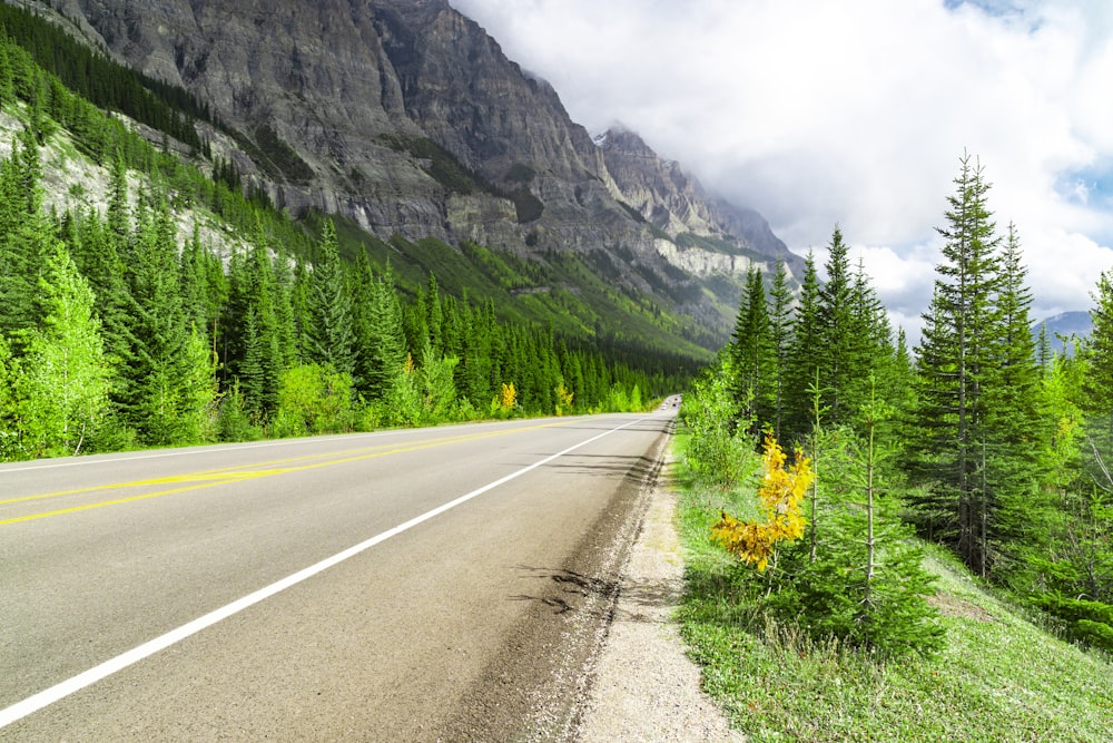 gray concrete road between green trees and mountain during daytime