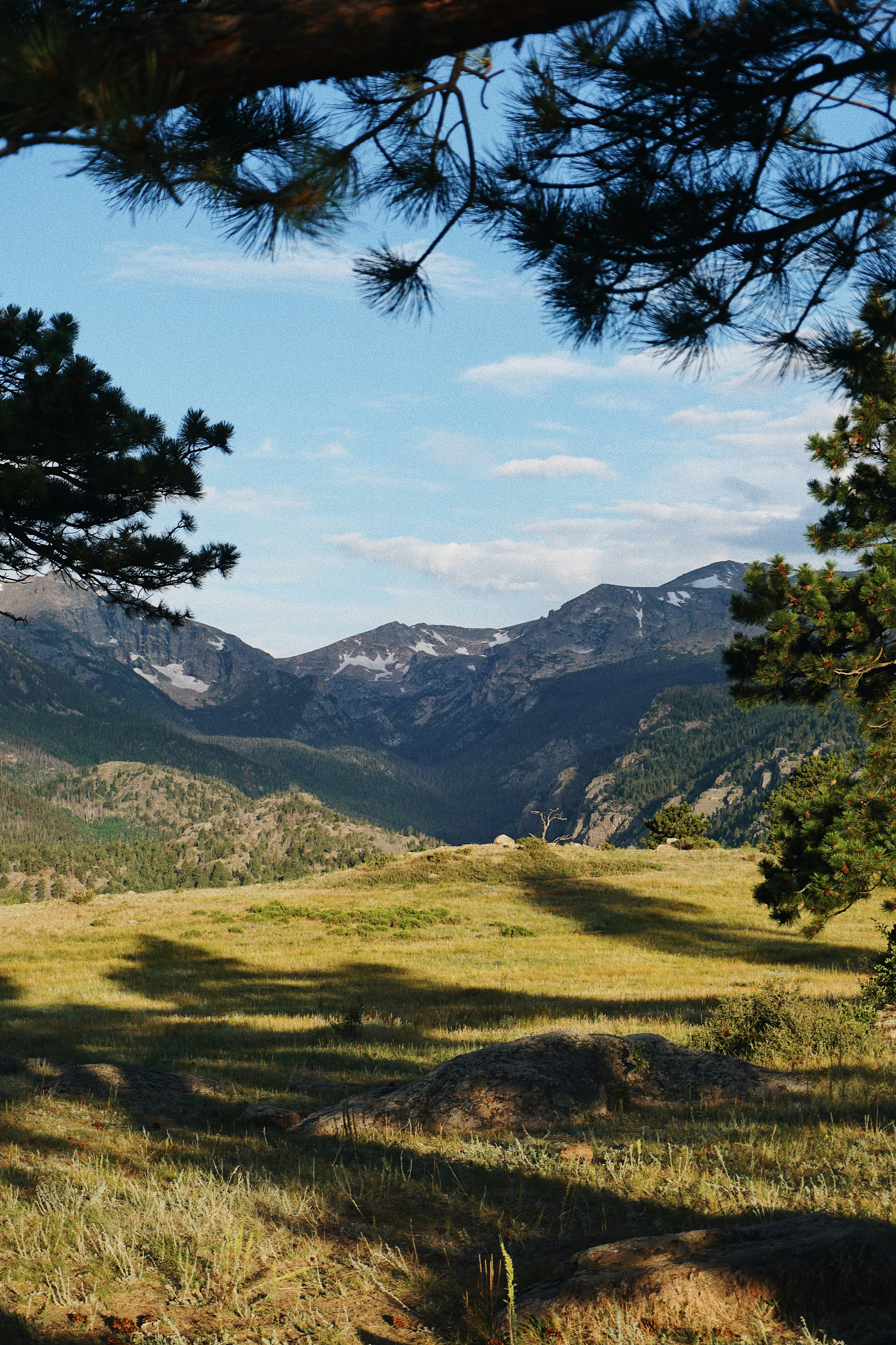 Photo by elisepetrovich