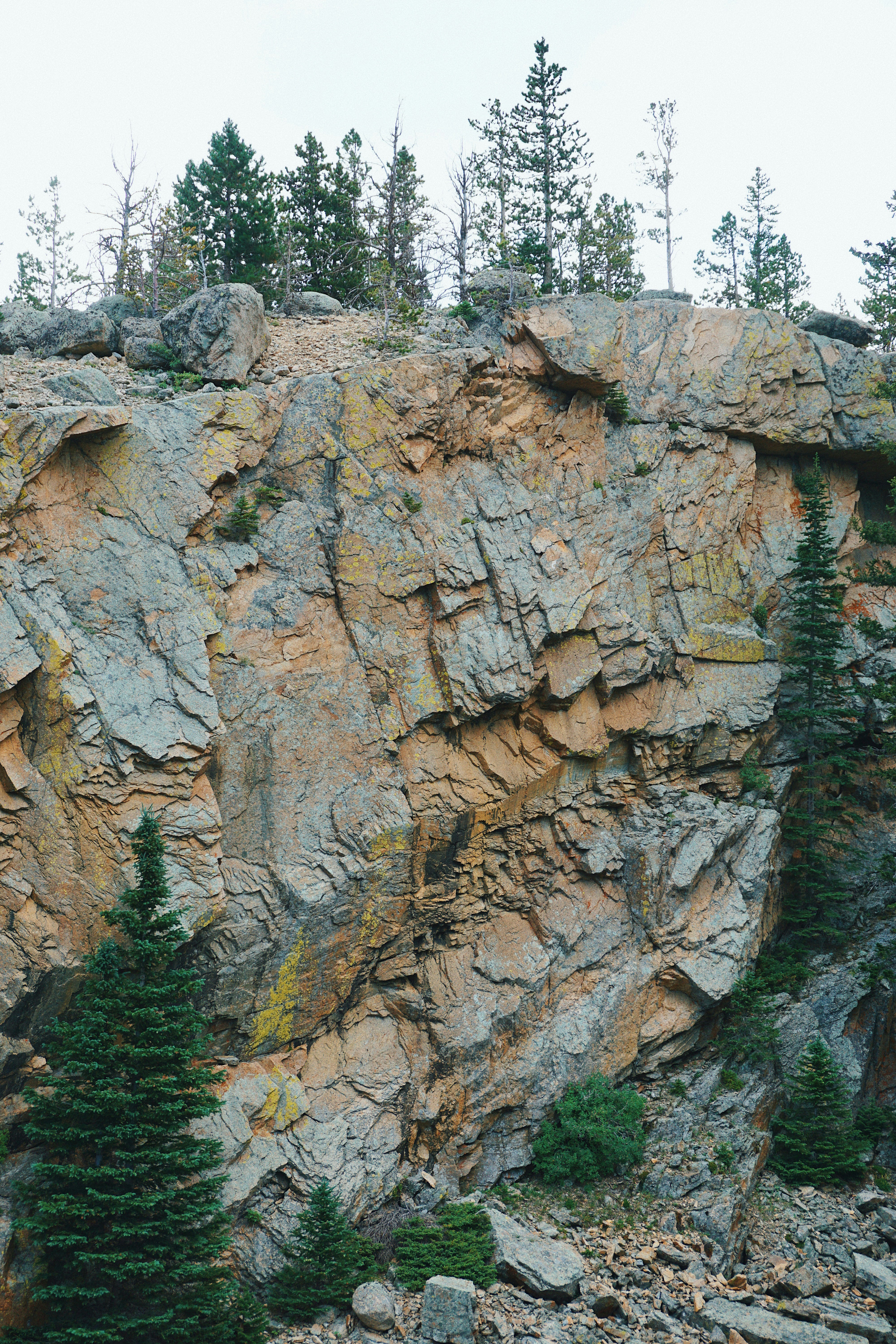 Photo by elisepetrovich