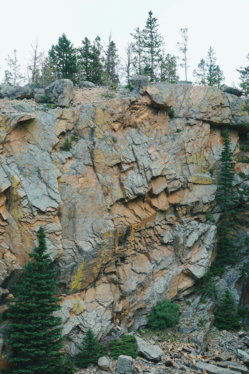 brown rocky mountain with green trees during daytime