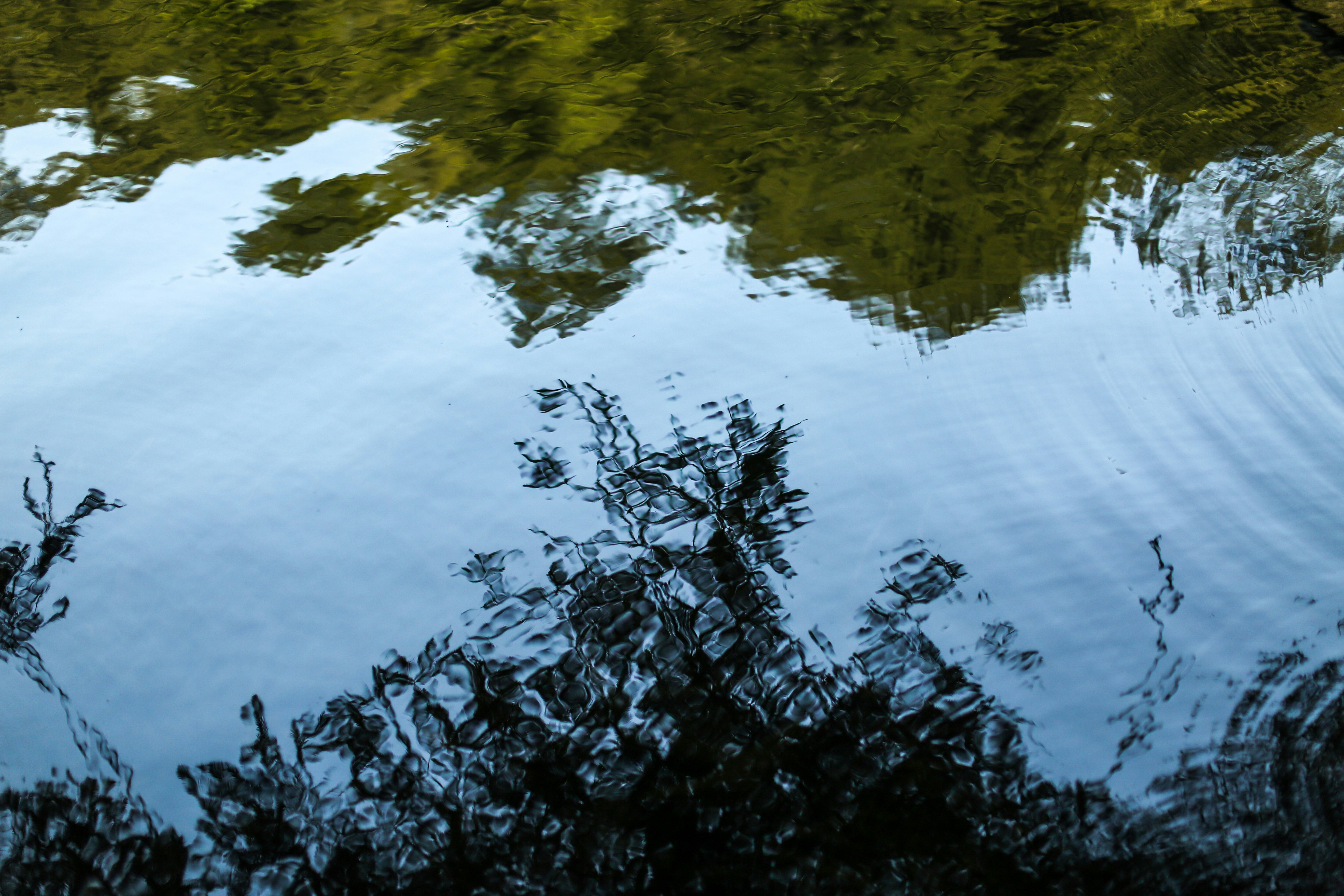 Photo by giorgiotrovato