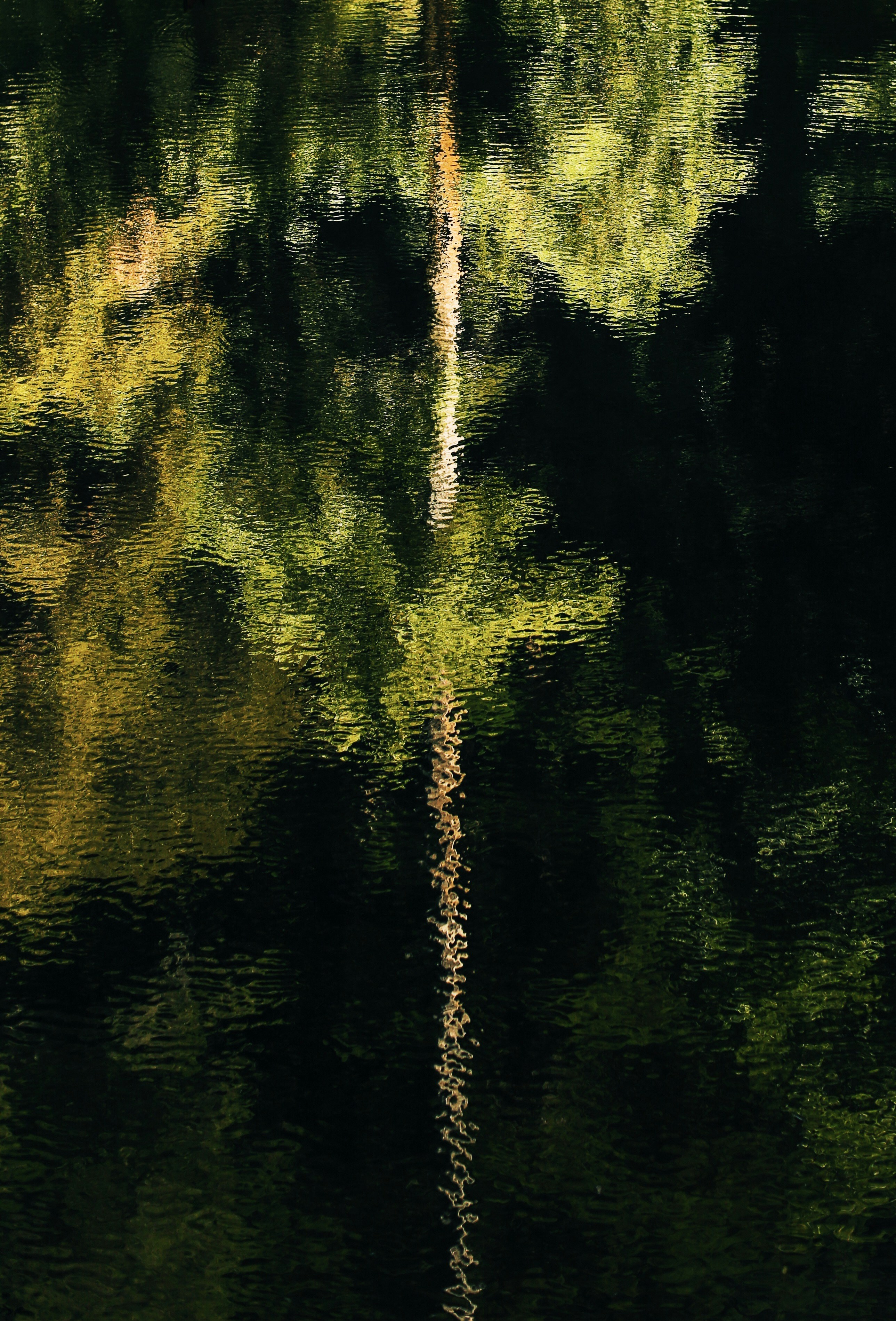 Photo by giorgiotrovato