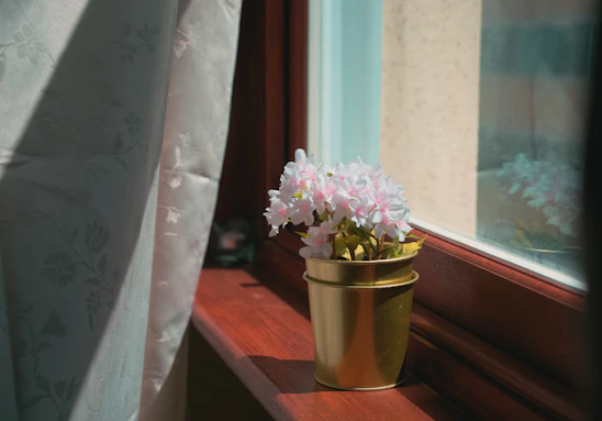 A cozy sunlit corner filled with colorful flower pots from florena, each holding vibrant blooms.