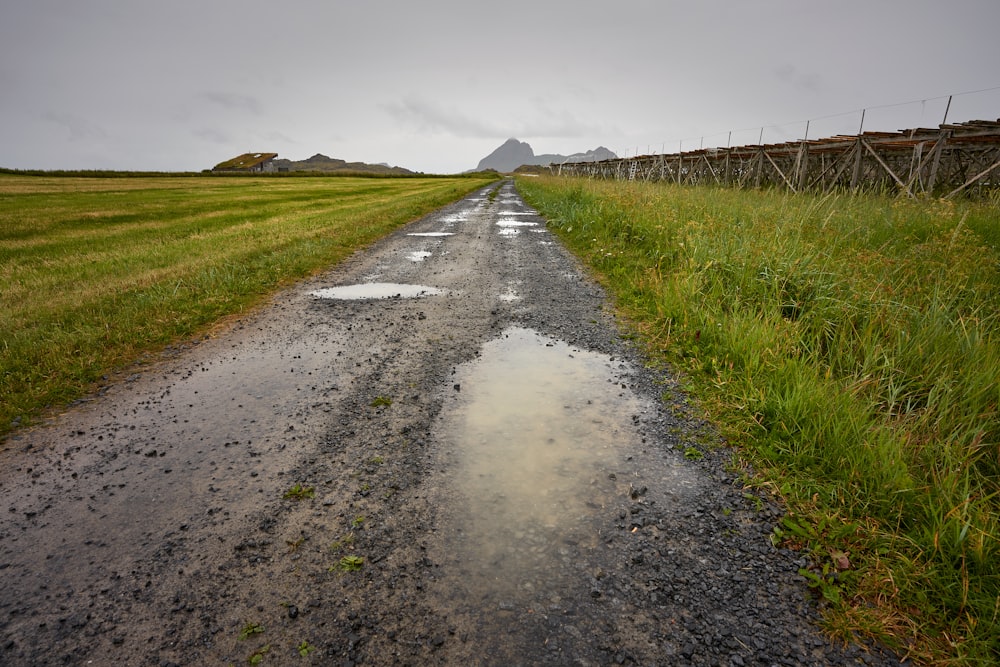 gray dirt road between green grass field under gray sky during daytime