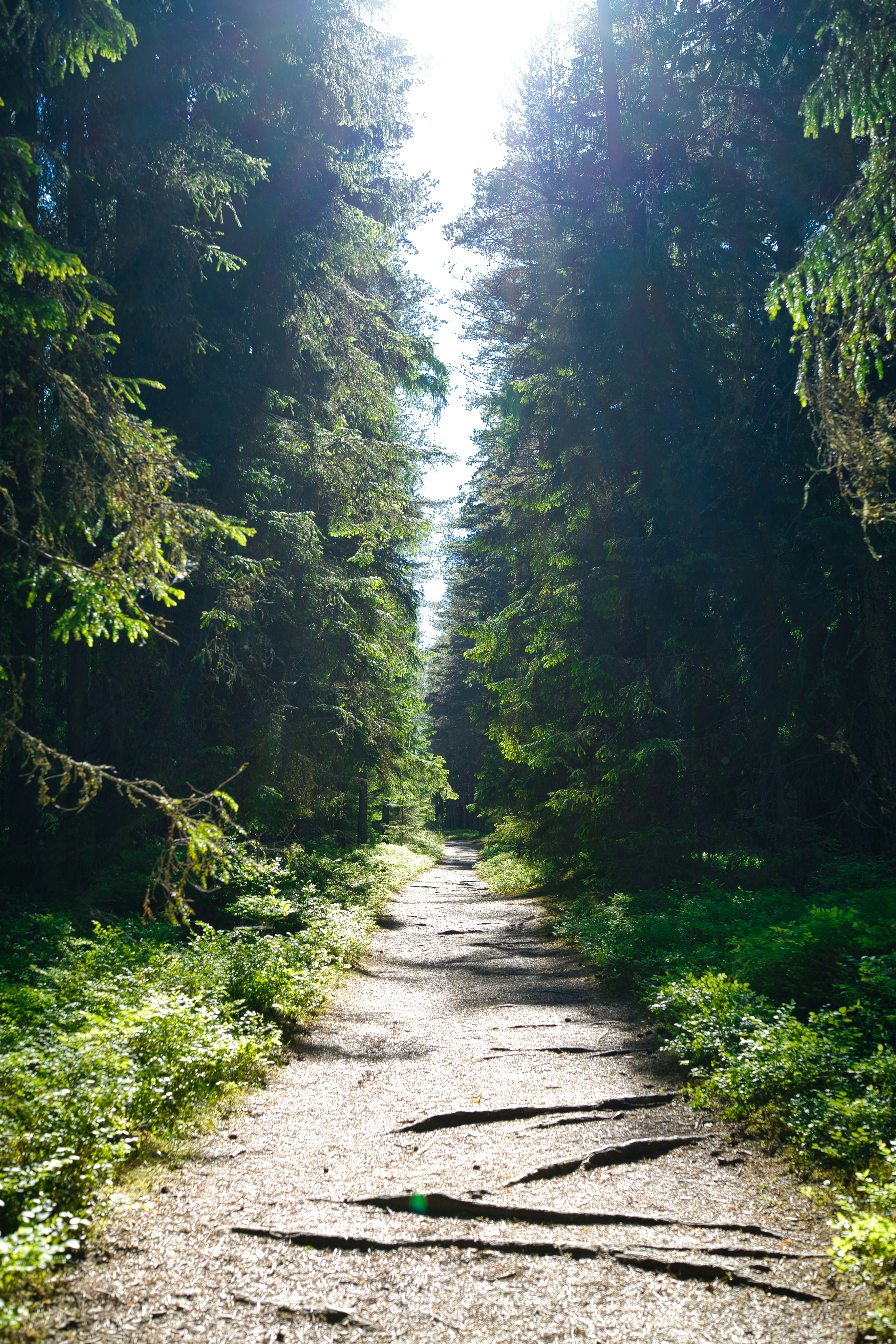 Photo by maksimshutov