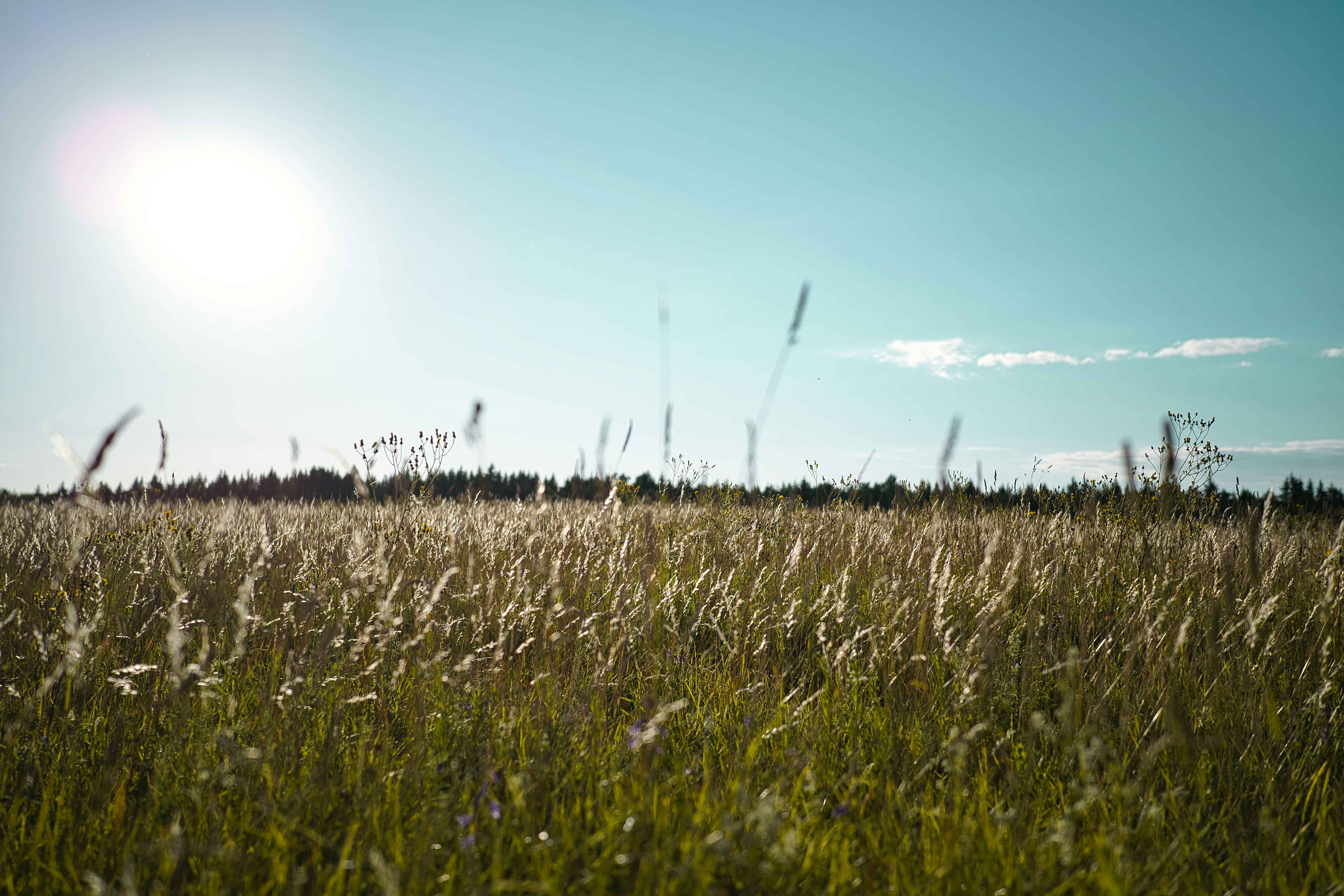 Photo by maksimshutov