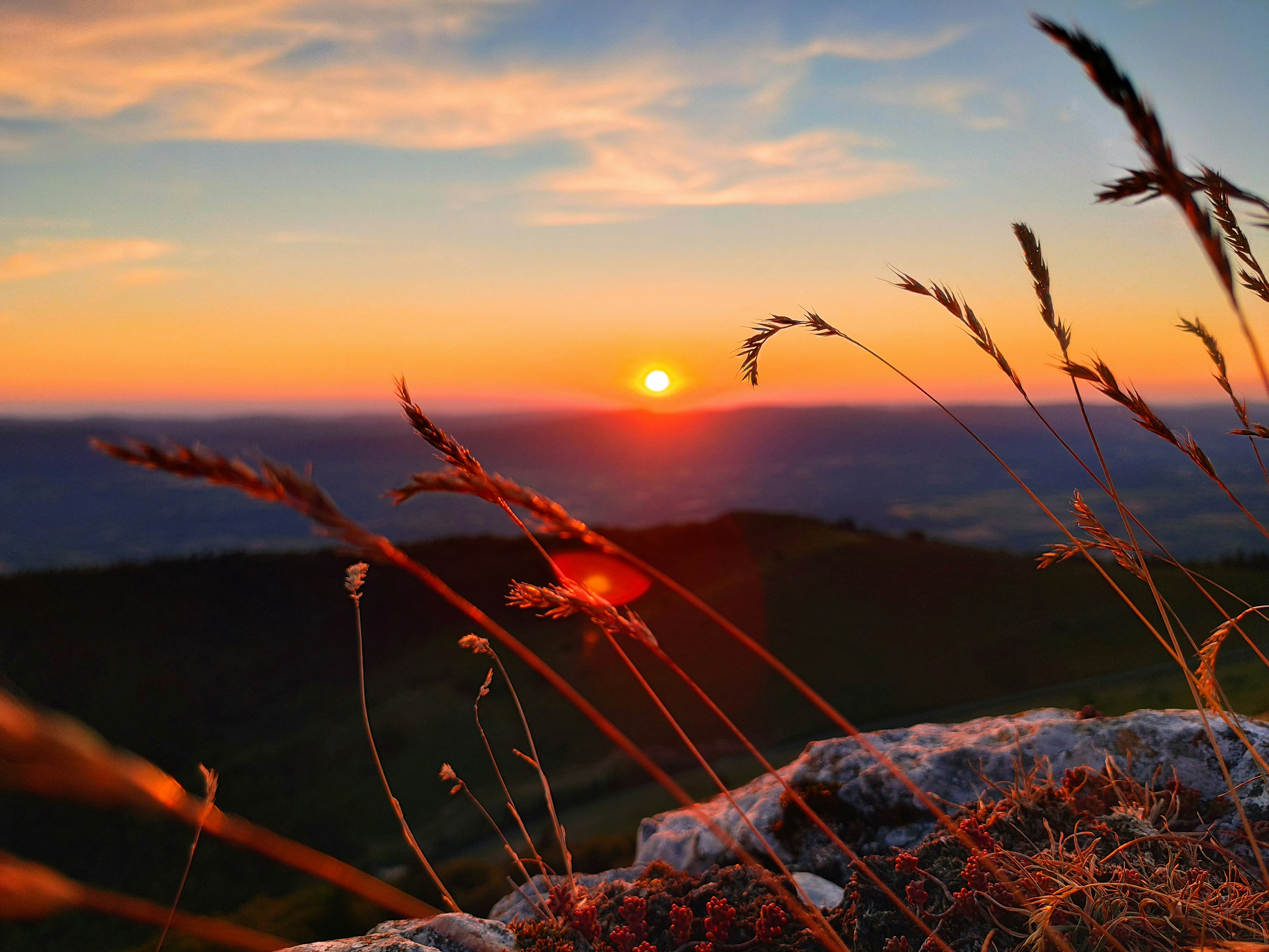 Photo by quentindel73