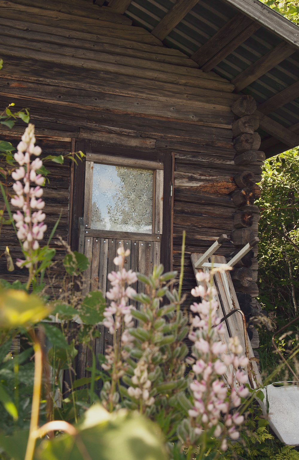 brown wooden window frame with green plants