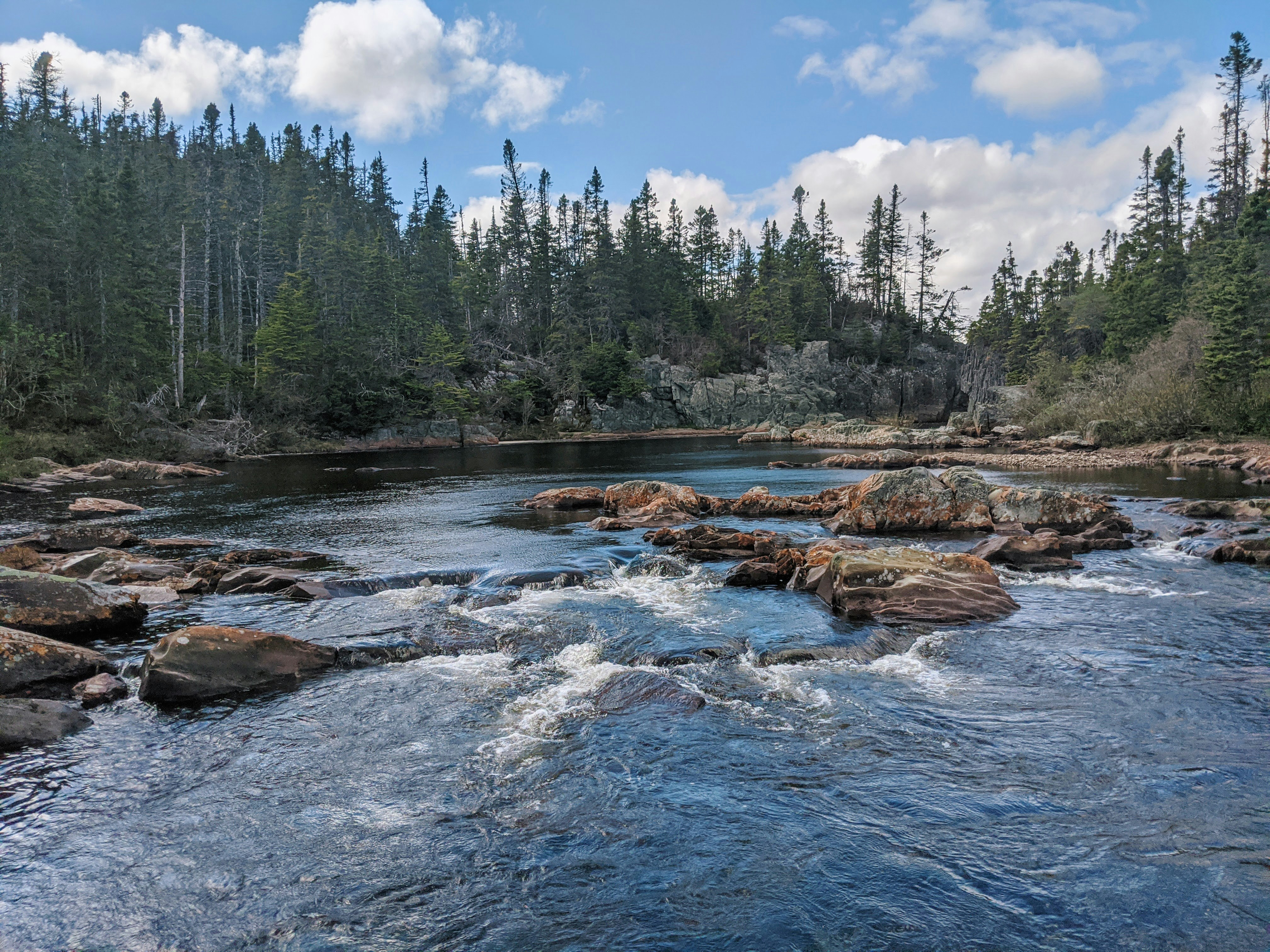 Photo de l'année qu'on moissonnera à la Chandeleur par Robyn Budgell