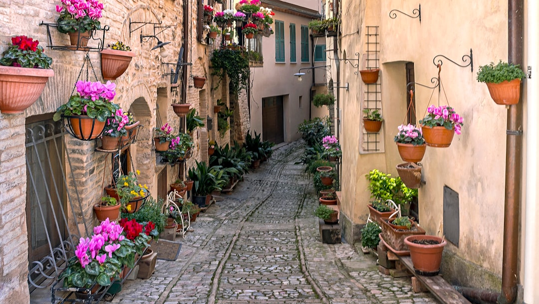 Town photo spot Spello Civita di Bagnoregio