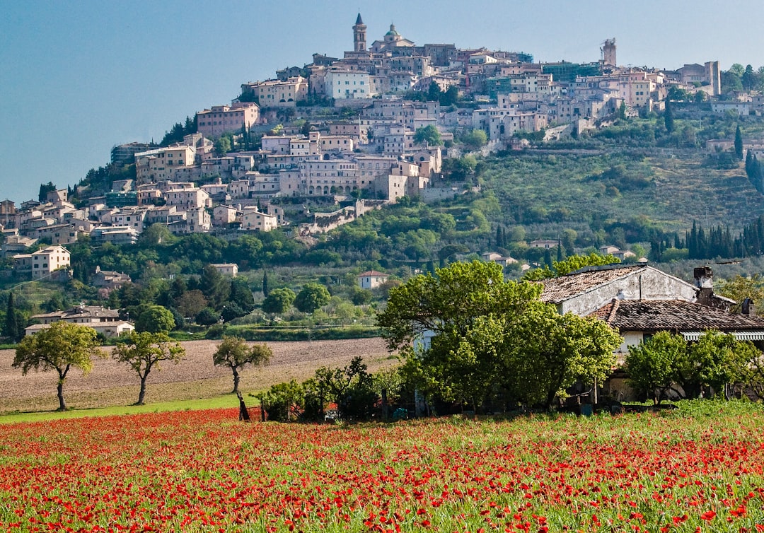 photo of Trevi Hill near Basilica Santa Rita da Cascia