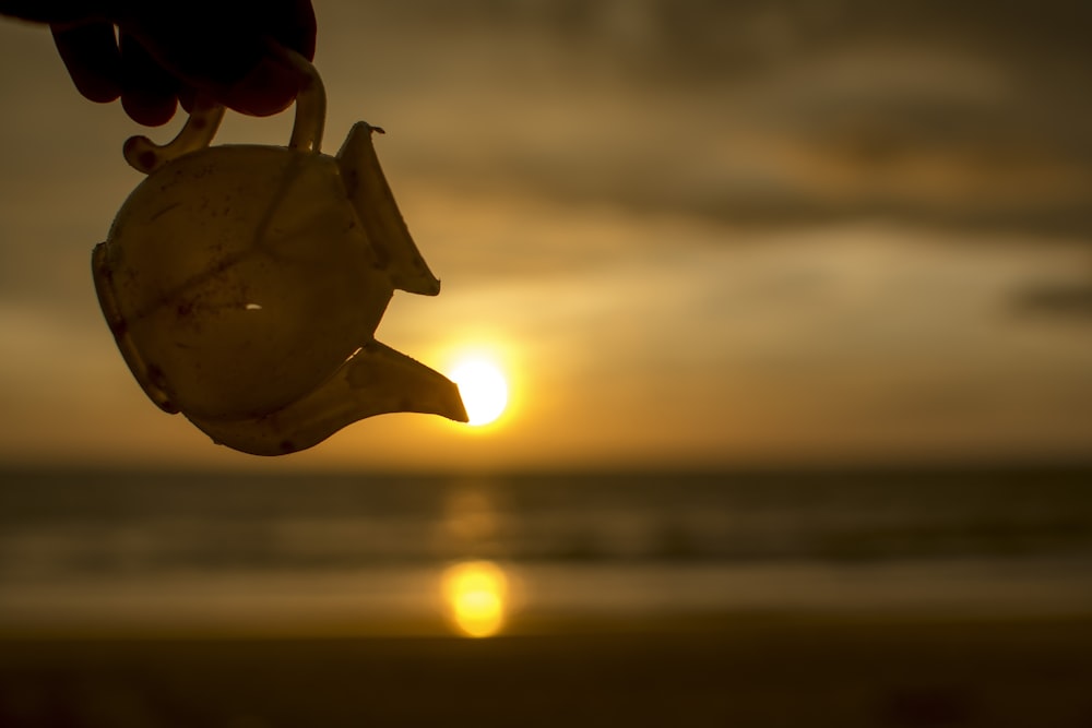 silhouette of a bird during sunset