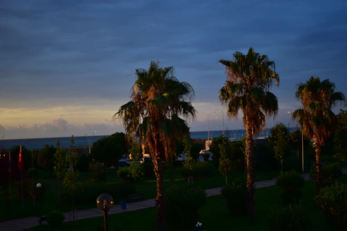 A spacious villa garden in Jeddah with palm trees and decorative lighting at dusk.
