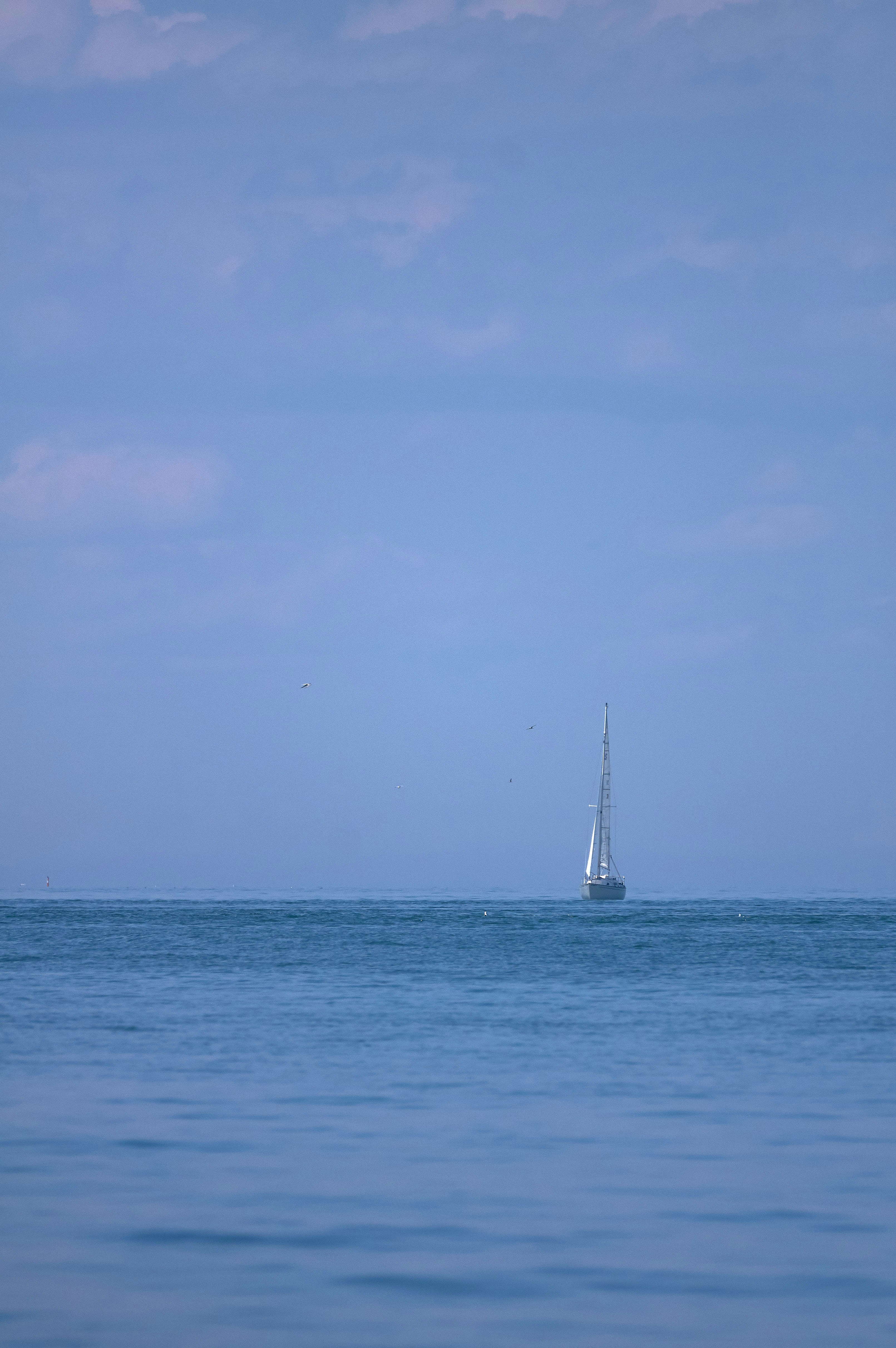 Photo by wolfgang_hasselmann