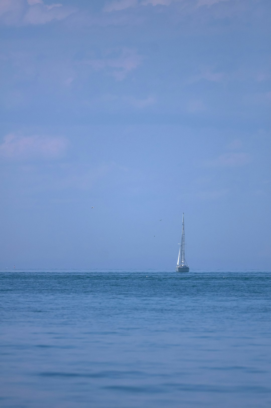 white sailboat on sea under blue sky during daytime