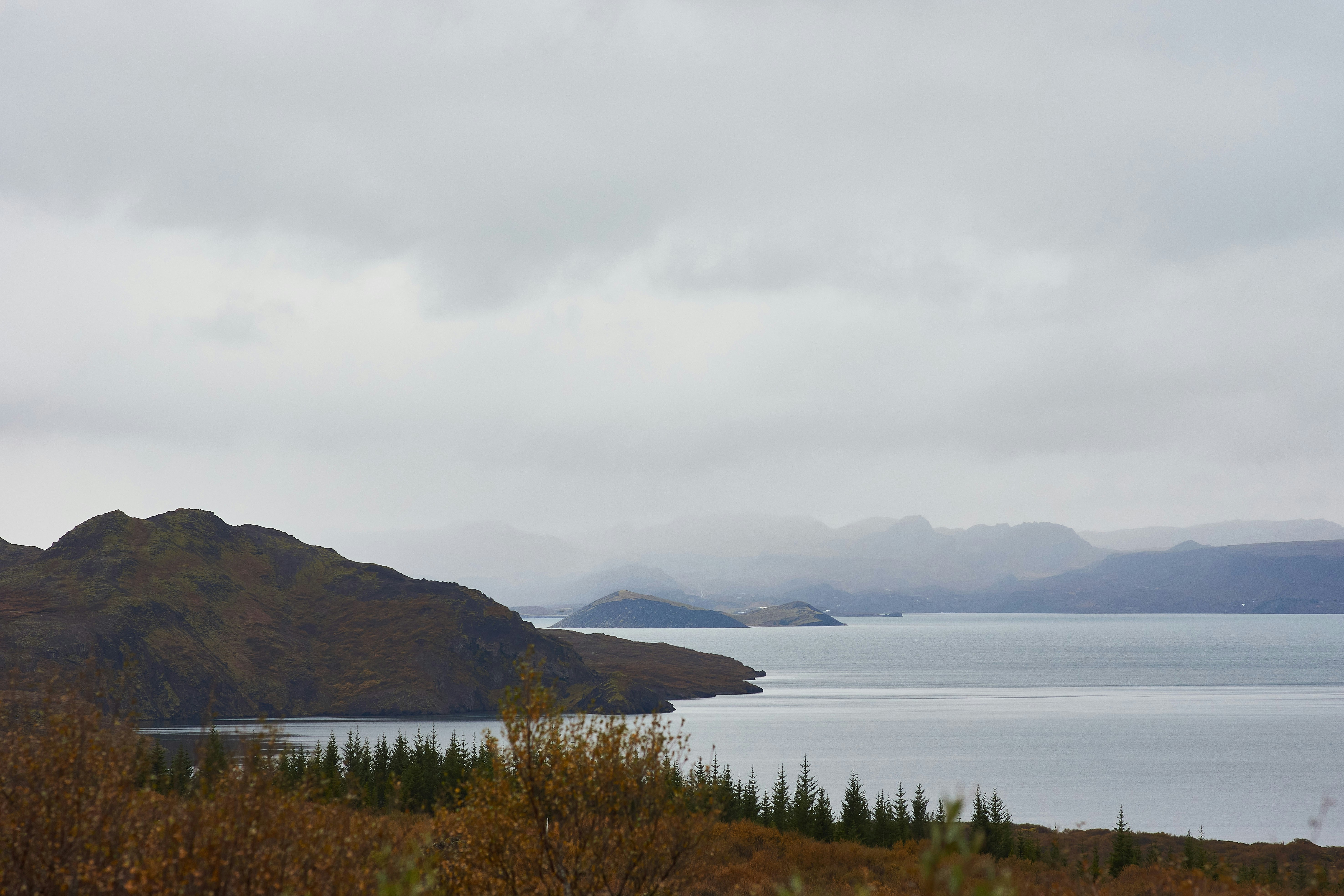 Photo by wolfgang_hasselmann