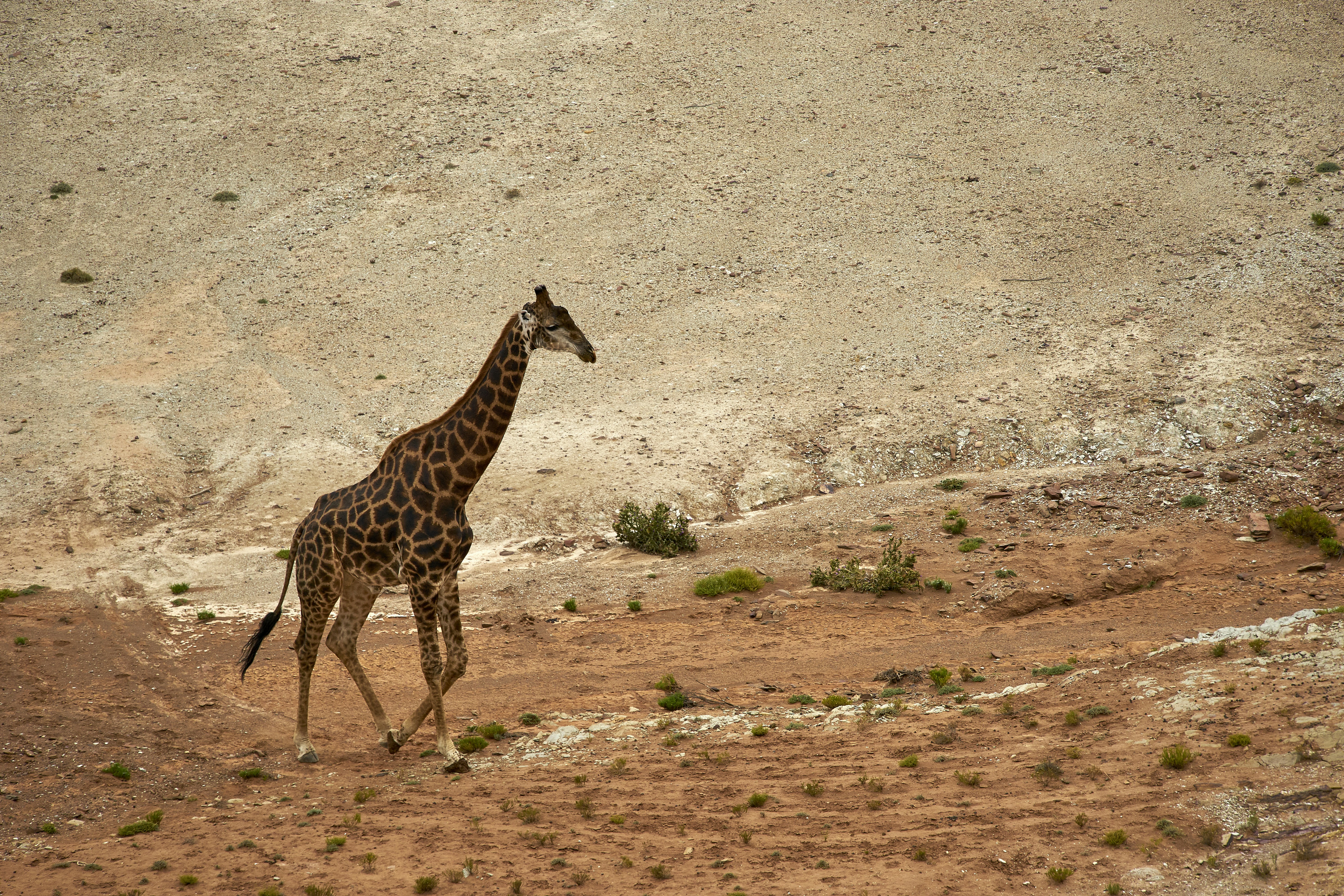 Photo by wolfgang_hasselmann