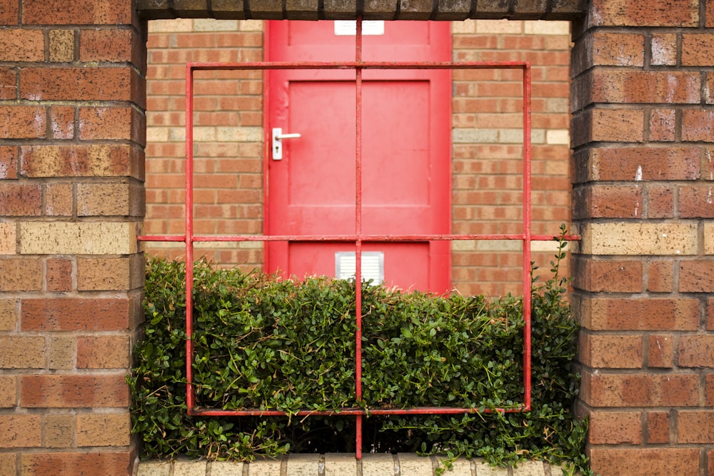 red wooden door on brown brick wall