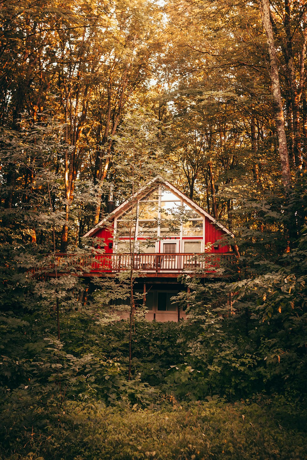 red and white wooden house in the middle of forest