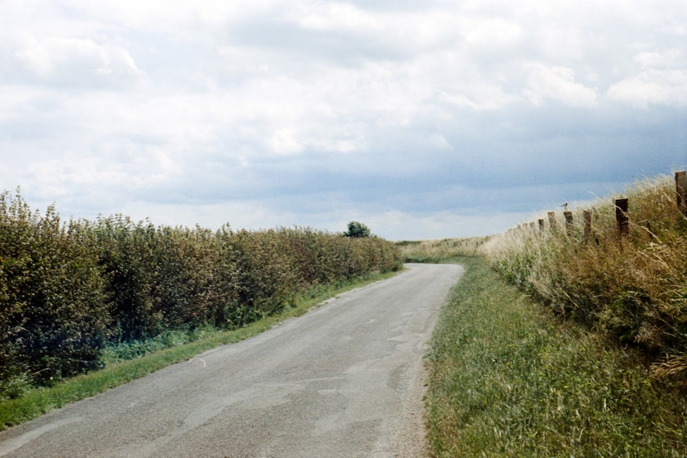 a rural road with a field of tall grass next to it