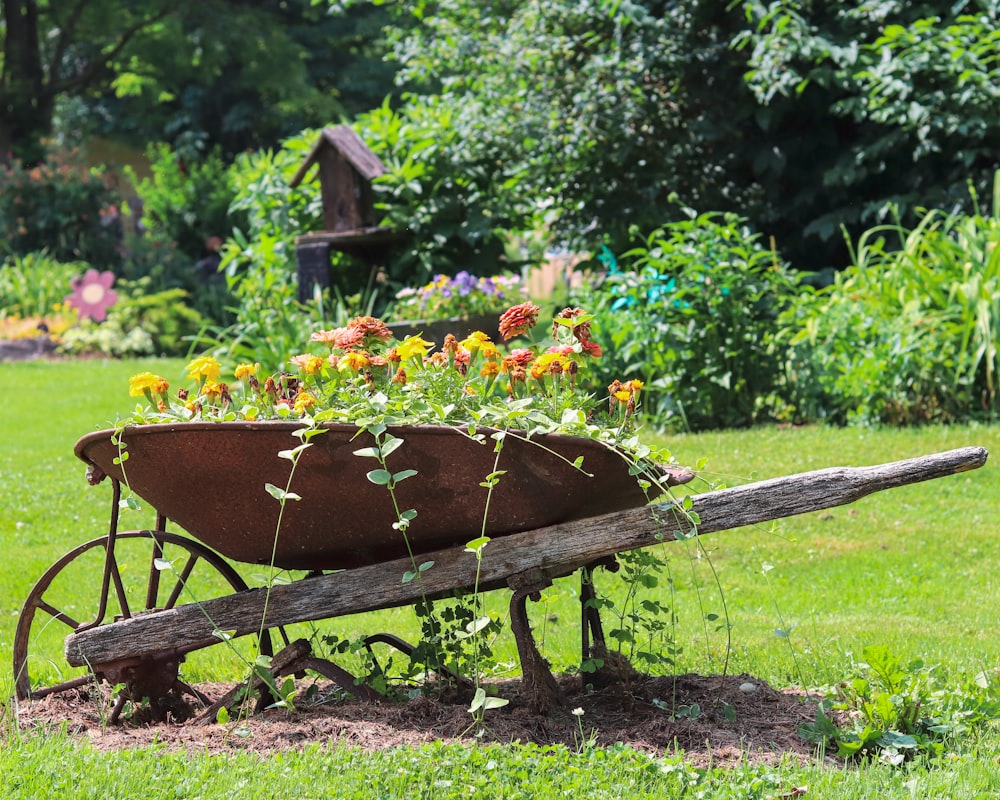 brown and black wheelbarrow near green trees during daytime