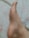 A close-up view of a bare foot resting on a light-colored, possibly floral-patterned surface. The foot is positioned at a slight angle, emphasizing the arch and heel.