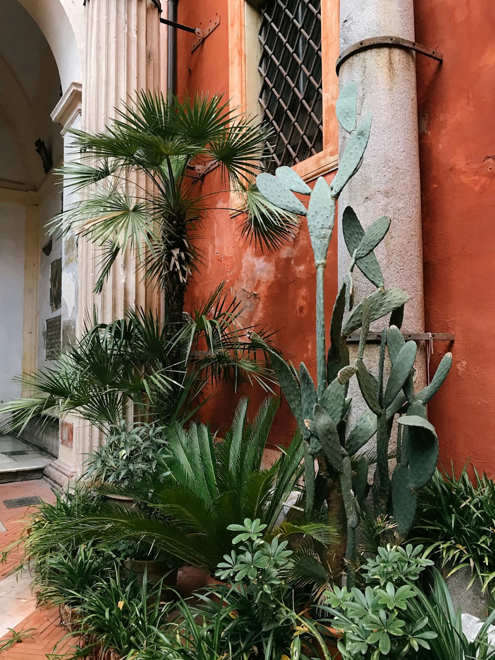 Pianta verde vicino all'edificio in cemento rosso